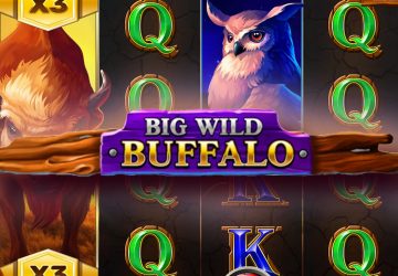 Игровой автомат Big Wild Buffalo в Apex Spins казино